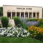 Pavlis Furs in Arlington Heights